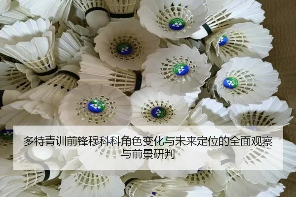 多特青训前锋穆科科角色变化与未来定位的全面观察与前景研判