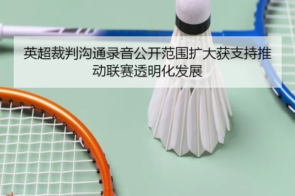英超裁判沟通录音公开范围扩大获支持推动联赛透明化发展